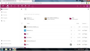 Alle Dateien- Screenshot Browser